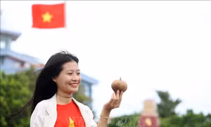 Độc đáo bàng vuông Trường Sa