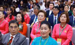 Việt Nam có cơ hội lớn để phát triển ngành công nghiệp vi mạch