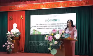 Hà Nội sẽ thu hồi biển nhận diện cửa hàng kinh doanh trái cây không đạt yêu cầu