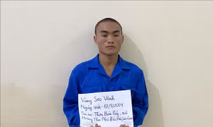Khởi tố đối tượng giết em trai để giành quyền thừa kế