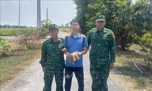 Liên tiếp bắt giữ các đối tượng nhập cảnh trái phép