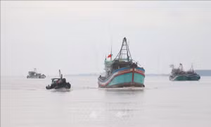 Địa phương đóng vai trò quan trọng, quyết định gỡ 'thẻ vàng' IUU