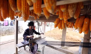 Cuộc sống đổi thay của đồng bào dân tộc Lự ở Lai Châu