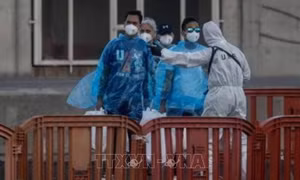 Virus Hanta: EU tăng cường chia sẻ thông tin nhằm nâng cao hiệu quả ứng phó