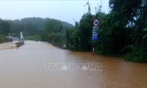 Bình Phước chủ động phòng chống, khắc phục hậu quả do mưa lũ, sạt lở đất