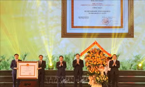 Phó Thủ tướng Trần Lưu Quang trao Bằng công nhận huyện Kim Sơn (Ninh Bình) đạt chuẩn nông thôn mới