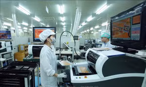 Xây dựng chiến lược phát triển bền vững cho doanh nghiệp