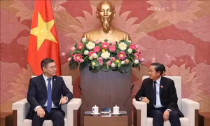 Quan hệ hợp tác giữa Quốc hội Việt Nam và Kazakhstan không ngừng được củng cố