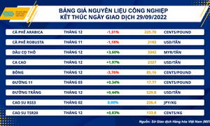 Nhà đầu tư tấp nập trở lại khi thị trường phân hoá, giá trị giao dịch tăng vọt