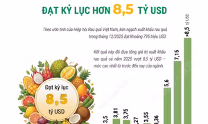 Xuất khẩu rau quả 'lội ngược dòng' ấn tượng, đạt kỷ lục 8,5 tỷ USD trong năm 2025