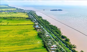 Cà Mau ứng phó El Nino với trọng tâm bảo đảm nước sinh hoạt