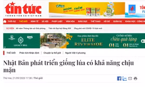 Thủ tướng yêu cầu nghiên cứu, xử lý thông tin do báo Tin tức phản ánh 