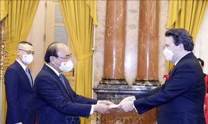 Chủ tịch nước nhận Quốc thư của Đại sứ Hoa Kỳ Marc Evans Knapper