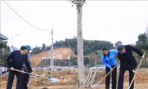 Nâng cao nhận thức của người dân về giá trị của rừng