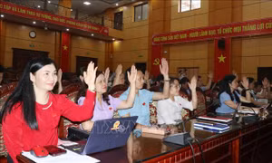 Xây đập, kè gần 700 tỷ đồng ở vùng đầu nguồn sông Cầu
