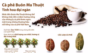 Cà phê Buôn Ma Thuột - Tinh hoa đại ngàn