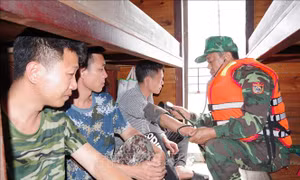 Liên tiếp ứng cứu thành công 2 tàu cá nước ngoài gặp sự cố trên biển