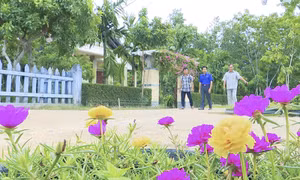 Khai thác tiềm năng, xây dựng nông thôn mới ở huyện Cam Lộ