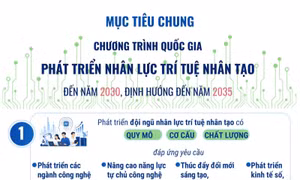 Chương trình quốc gia phát triển nhân lực trí tuệ nhân tạo đến năm 2030, định hướng đến năm 2035