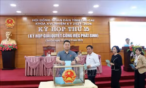 Chủ tịch HĐND và Chủ tịch UBND tỉnh Lào Cai đều có số phiếu tín nhiệm cao
