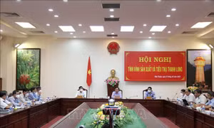 Tìm hướng sản xuất và tiêu thụ thanh long bền vững