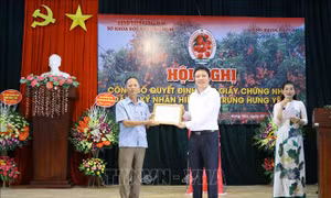 Công bố nhãn hiệu 'Vải trứng Hưng Yên'
