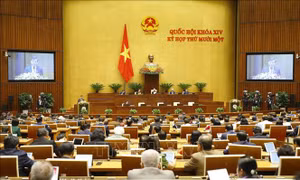 Thông cáo báo chí số 02, Kỳ họp thứ 11, Quốc hội khóa XIV