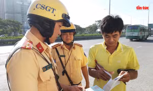 Xử lý các vi phạm triển khai bảo hiểm bắt buộc của chủ xe cơ giới