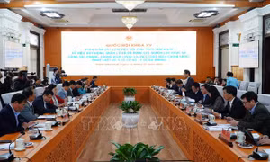 Giám sát về công tác phòng, chống COVID-19 tại tỉnh Thừa Thiên - Huế
