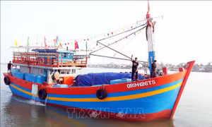 Động lực bám biển đầu năm gắn với quyết tâm chống khai thác IUU