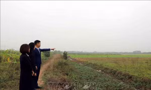 Hưng Yên: Xã đầu tiên cấp 'sổ đỏ' cho doanh nghiệp sử dụng đất, thuê đất 50 năm