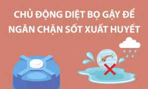 Chủ động diệt bọ gậy để ngăn chặn sốt xuất huyết