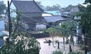 Cảnh báo lũ đặc biệt lớn trên sông Ba (Đắk Lắk), lũ khẩn trên sông Kôn (Gia Lai)