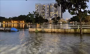 TP Hồ Chí Minh chủ động ứng phó đợt triều cường lên cao vượt mức báo động III