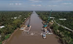 Đắp đập ngăn mặn, bảo vệ trên 128.000 ha đất sản xuất