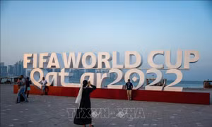 World Cup 2022: Những 'ngựa ô' của giải đấu
