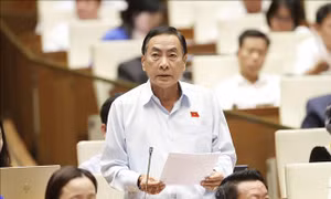 Rà soát kỹ lưỡng, tránh lợi dụng, lạm dụng chỉ định thầu