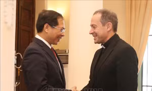 Triển khai nâng cấp quan hệ Việt Nam - Vatican
