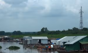 Ổn định vùng nuôi cá bè trên hồ Trị An