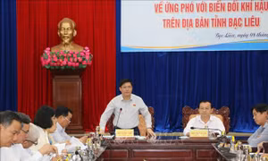Giám sát thực hiện chính sách, pháp luật về ứng phó biến đổi khí hậu tại tỉnh Bạc Liêu