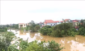 Hưng Yên: Báo động 3 trên tuyến đê tả sông Hồng