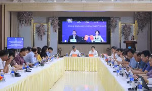 Thúc đẩy đăng ký bảo hộ nhãn hiệu, chỉ dẫn địa lý của Việt Nam ở nước ngoài