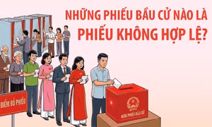 Những phiếu bầu cử nào là phiếu không hợp lệ?