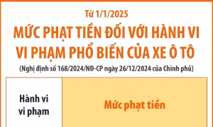 Mức phạt tiền đối với vi phạm phổ biến của xe ô tô từ 1/1/2025 