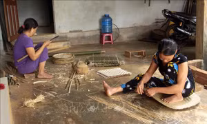 Gìn giữ nghề đan lát truyền thống Lan Đình