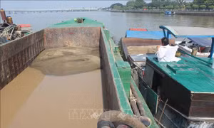 Phá ổ nhóm khai thác cát trái phép quy mô lớn trên sông Cổ Chiên và sông Hàm Luông