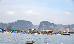 Đồng loạt giảm lãi suất cho vay hỗ trợ doanh nghiệp, người dân