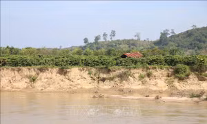 Khắc phục tình trạng sạt lở bờ sông K’Rông Nô
