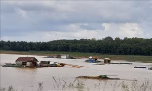 Tăng thu nhập từ nuôi cá lồng trên hồ thủy điện