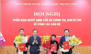 Điều động, bổ nhiệm 3 Phó Trưởng Ban Chính sách, chiến lược Trung ương